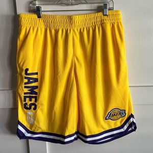 NBA Lakers - Lebron James Logo Shorts sz XL